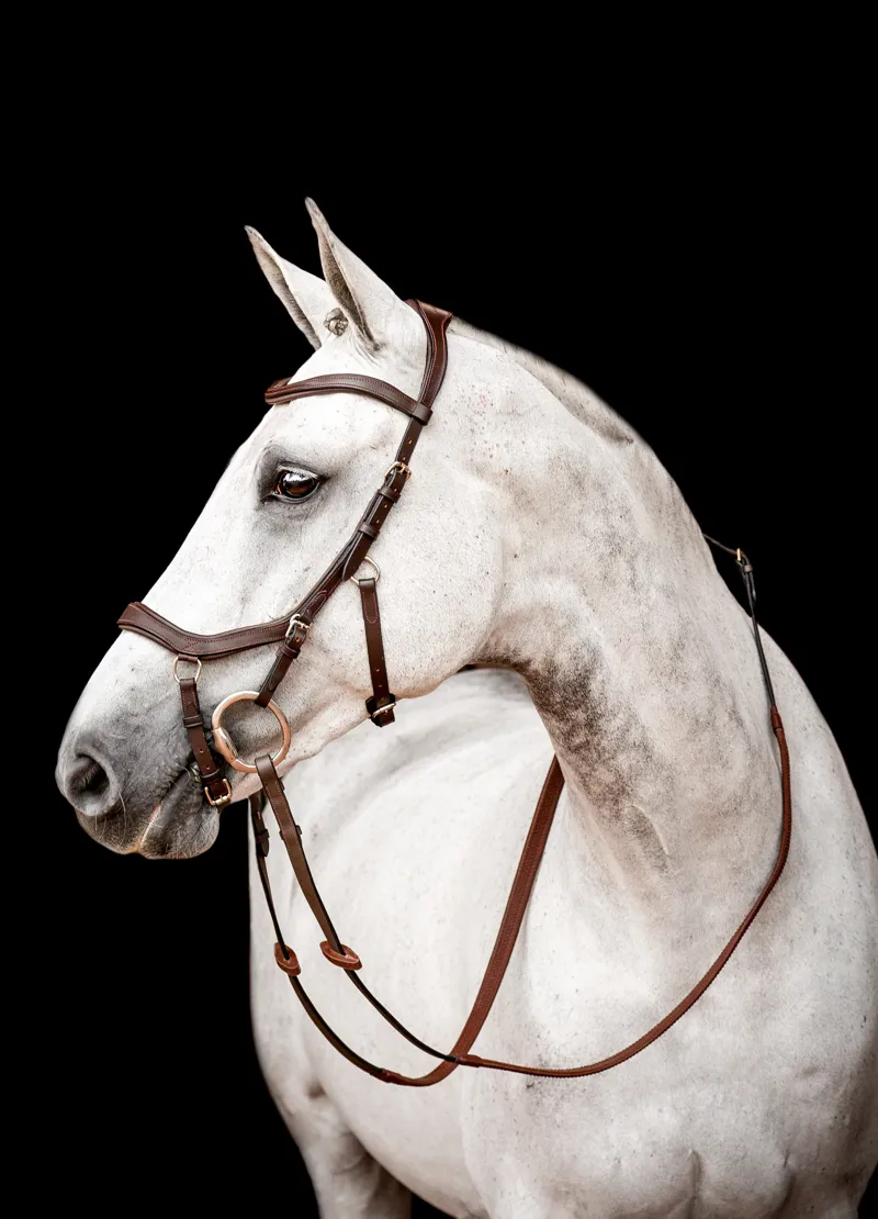 Rambo Micklem 2 Competition Bridle With Reins Dark Havana
